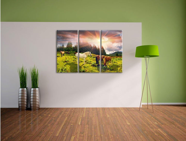 Pixxprint Carpathian Mustangs Pferde auf den Bergen 3-Teiler Leinwandbild 120x80 Bild auf Leinwand