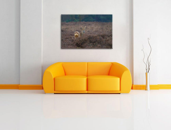 junger Hirsch auf dunkler Wiese Leinwand, XXL riesige Bilder fertig gerahmt mit Keilrahmen, Kunstdru