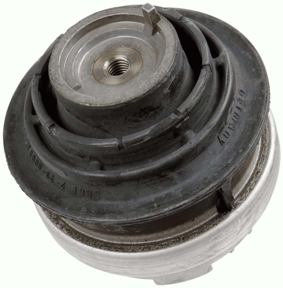 Lemförder 29786 01 Lagerung, Motor