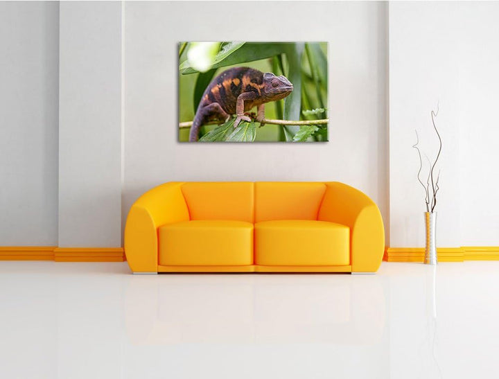 Pixxprint braunes Chamäleon auf Leinwand, XXL riesige Bilder fertig gerahmt mit Keilrahmen, Kunstdru