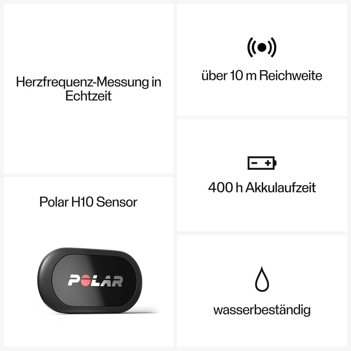Polar Equine - Pferde Reitsport Trab - H10 Herzfrequenz-Sensor - Wasserdichter Pulssensor mit Brustg