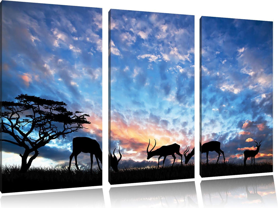 Pixxprint Tiere in der freien Natur am Abend 3-Teiler Leinwandbild 120x80 Bild auf Leinwand
