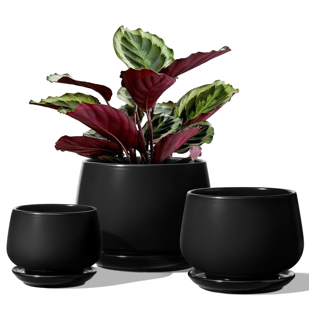 LE TAUCI 3 er Pack Übertöpfe Keramik, 10+13+16 cm Durchmesser Klein Töpfe Set, Blumentopf für Zimmer