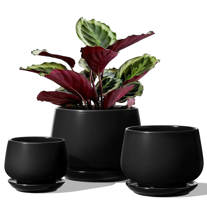 LE TAUCI 3 er Pack Übertöpfe Keramik, 10+13+16 cm Durchmesser Klein Töpfe Set, Blumentopf für Zimmer