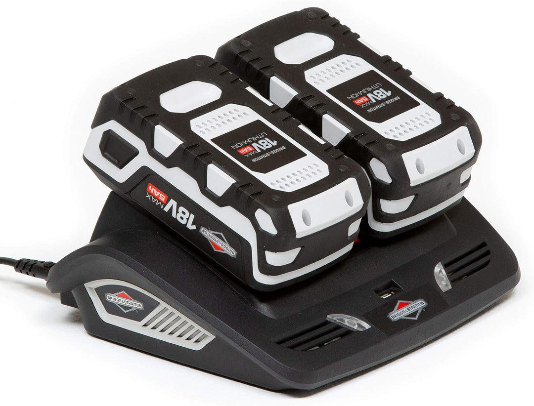 Briggs & Stratton 1697084 18V Lithium-Ionen-Akku Dual-Ladegerät (für Murray 18V) Zweifach-Ladegerät,