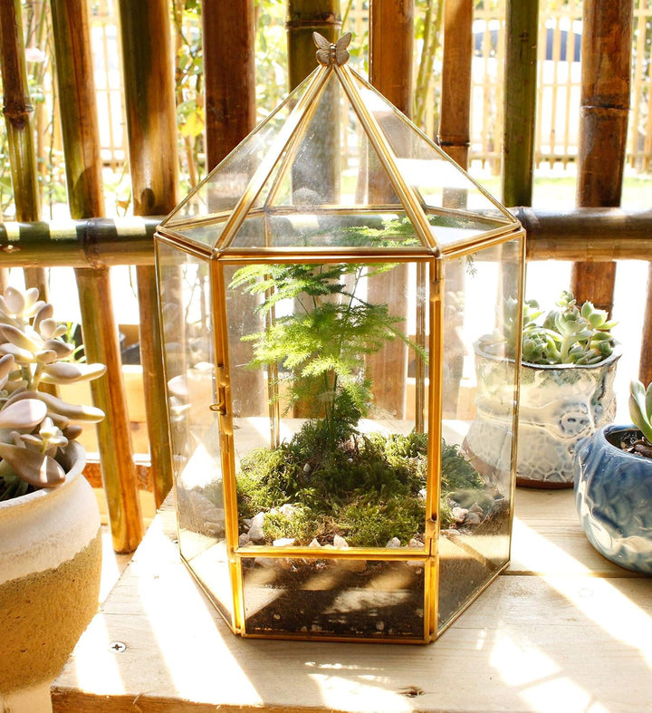 ELEGANTLIFE Geometrisches Pflanzenterrarium aus Glas, Sukkulenten- und Luft-Pflanzgefäss für Zuhause