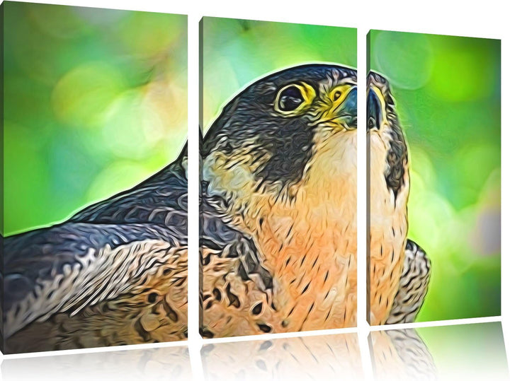 schöner grauer Adler NewArt 3-Teiler Leinwandbild 120x80 Bild auf Leinwand, XXL riesige Bilder ferti