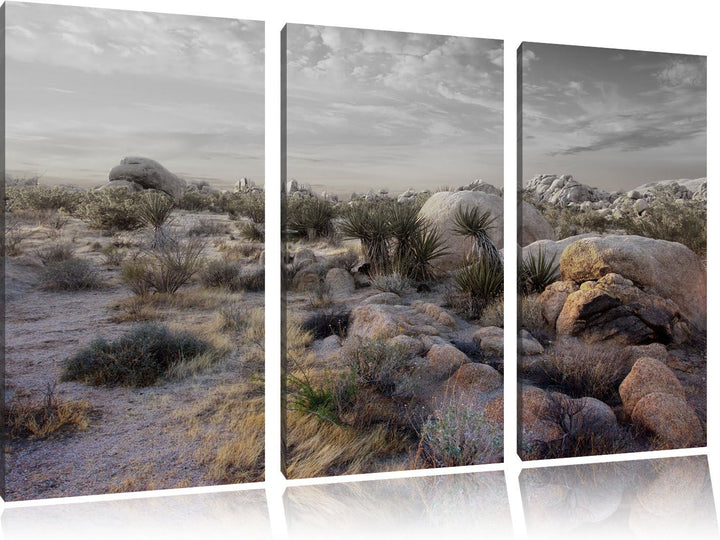 Pixxprint Joshua Wüste im Sonnenuntergang B&W Detail 3-Teiler Leinwandbild 120x80 Bild auf Leinwand
