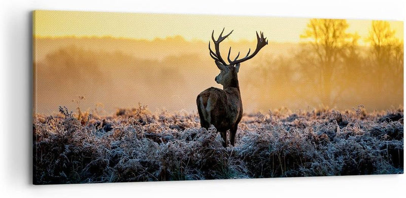 Wandbilder Dekoration Wohnzimmer Feld Nebel Natur Baum Panorama Bilder auf Leinwand 120x50cm Leinwan