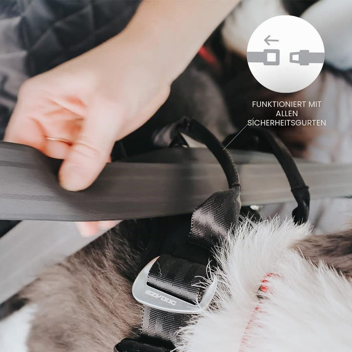 EzyDog Sicherheitsgeschirr Hund - Drive Crash-Getestet Hundegeschirr - Bestes Hundegeschirr fürs Aut