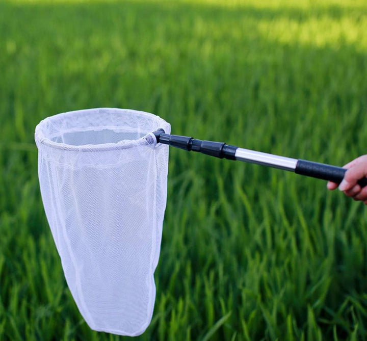 Teleskop Insekten- und Schmetterlingsnetz fängt Insekten Insekten Käfer Fischernetz mit 28 cm Ring,
