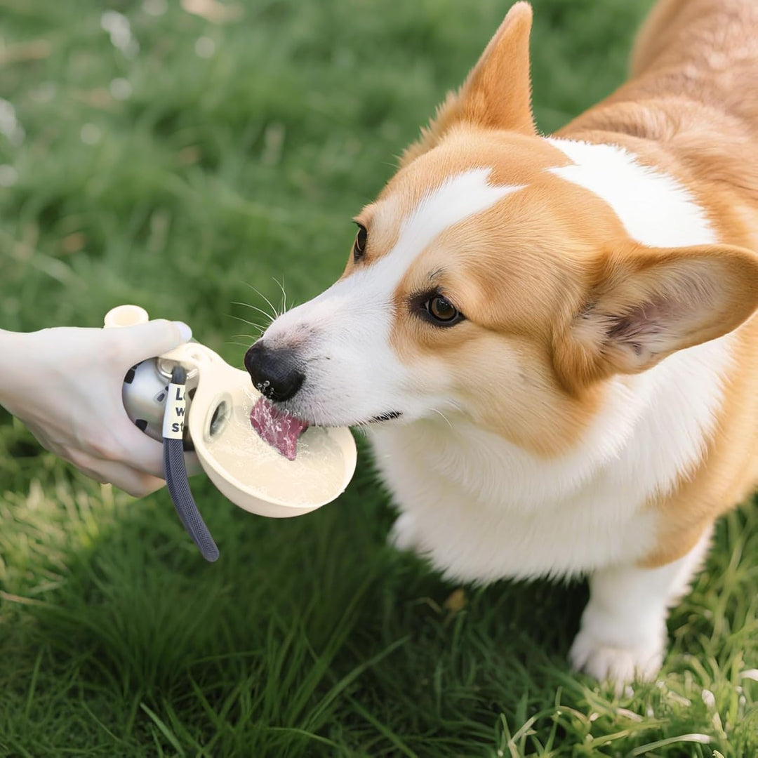 Trinkflasche Hunde für Unterwegs, 285ML Edelstahl Hundetrinkflasche mit Silikonnapf, Auslaufsichere