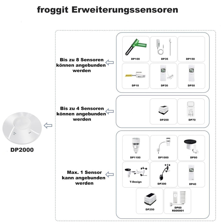 froggit DP2000 3-In-1 Wlan/Lan Gateway