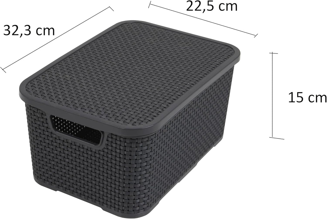 BranQ - Home essential Deckel Korb in Rattan Design 2er Set Grösse M 10l, Kunststoff PP, Anthrazit,