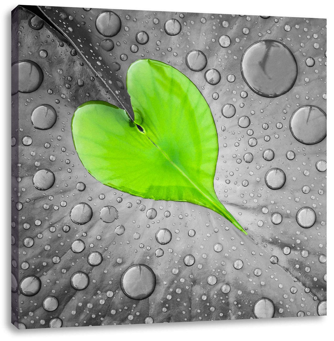 Pixxprint Tautropfen Herz als Leinwandbild | Grösse: 70x70 cm | Wandbild | Kunstdruck | fertig bespa