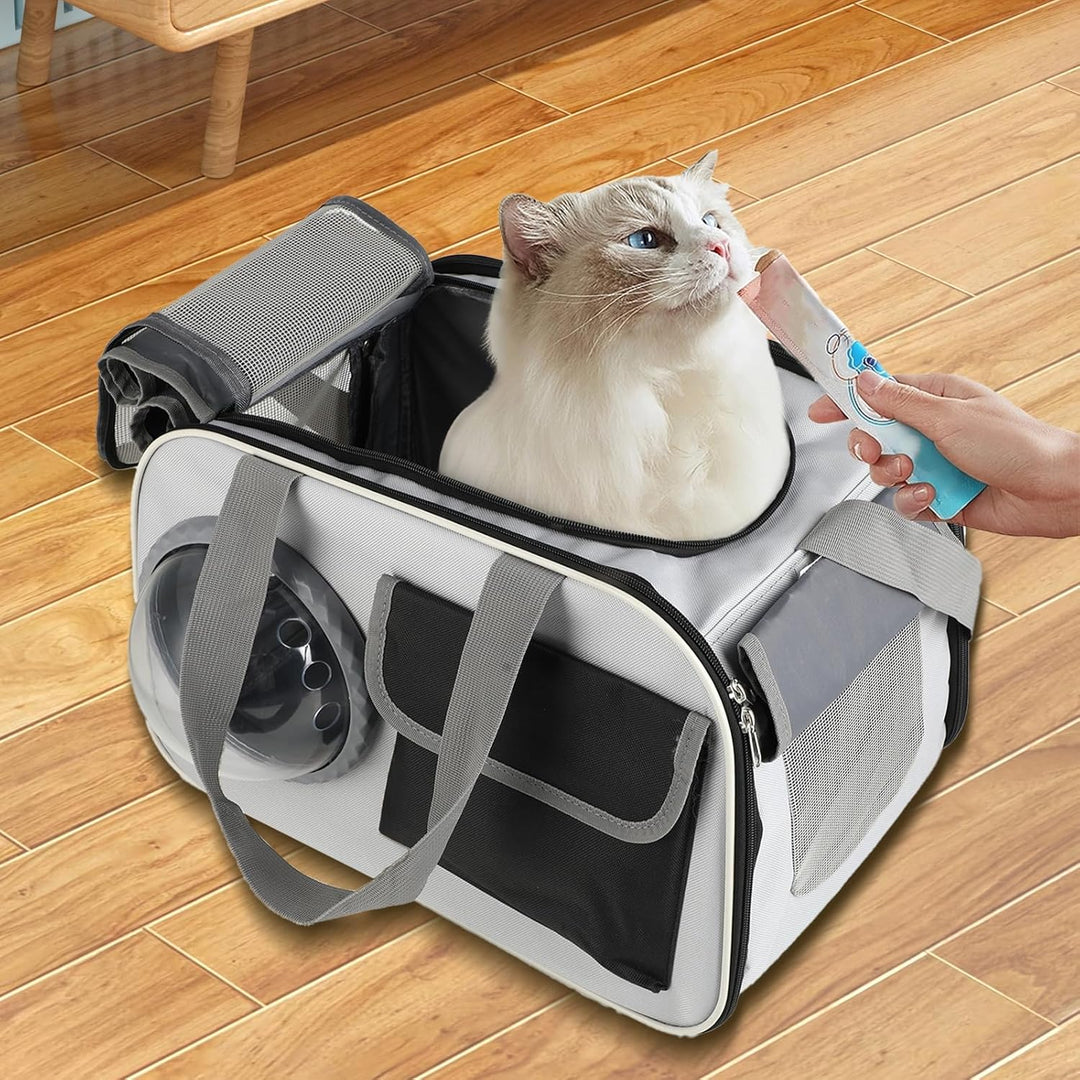 Transporttasche für Katze Hund bis 6kg - Faltbare Tragebox für Auto Flugzeug Zug - Mittel Kleine Hau