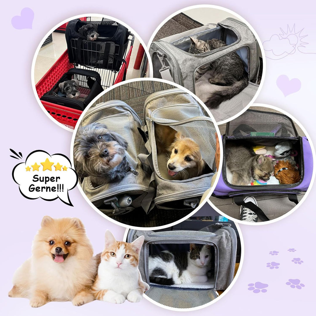 Transporttasche für Katze Hund, Hundetransportbox | Faltbare Katzentransportbox, tragbar, 5kg Katzen