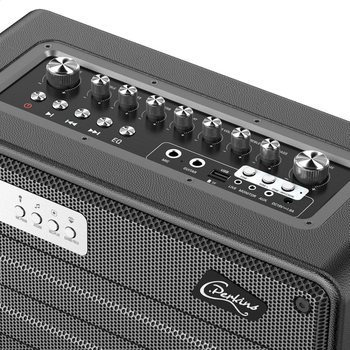 C.Perkins - ROADY-FL - Das professionelle 100W batteriebetriebene ALL-IN-ONE mit 1 drahtlosen UHF-Mi