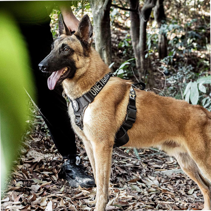 OneTigris No-Pull Hundegeschirr Goliath Geschirr mit Griff Taktisches Einstellbar Geschirr für Hunde