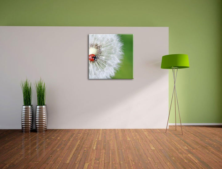 Pixxprint Kleiner Marienkäfer auf einem Löwenzahn, Format: 70x70 auf Leinwand, 70x70