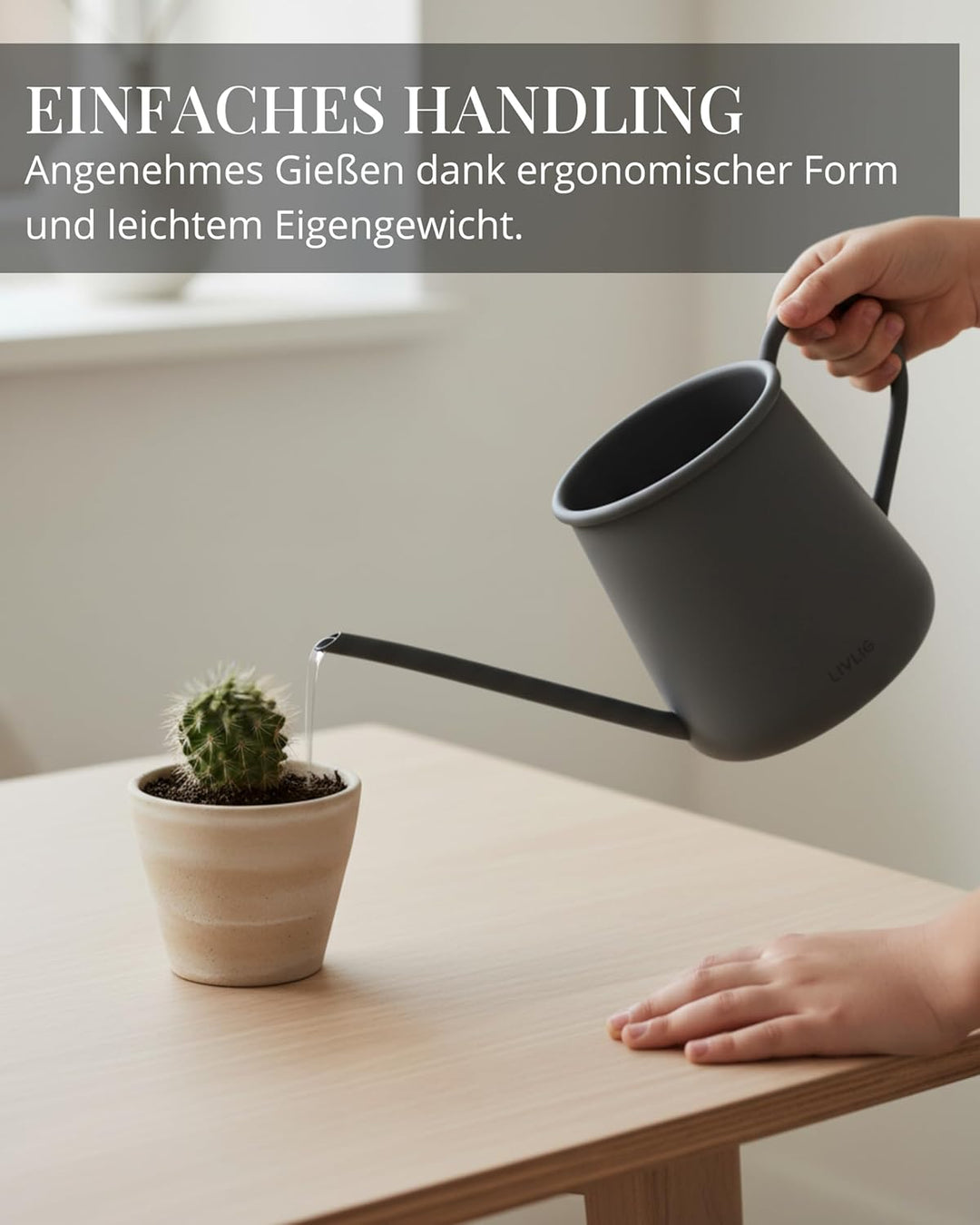 Livlig53 Giesskanne 1L, Giesskanne Zimmerpflanzen, Blumengiesskanne mit extra langem Ausguss, Giessk