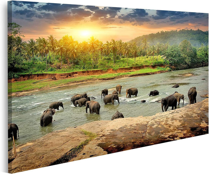 islandburner Bild auf Leinwand Badende Elefanten Herde Im Fluss Im Dschungel Sri Lanka Bilder Wandbi