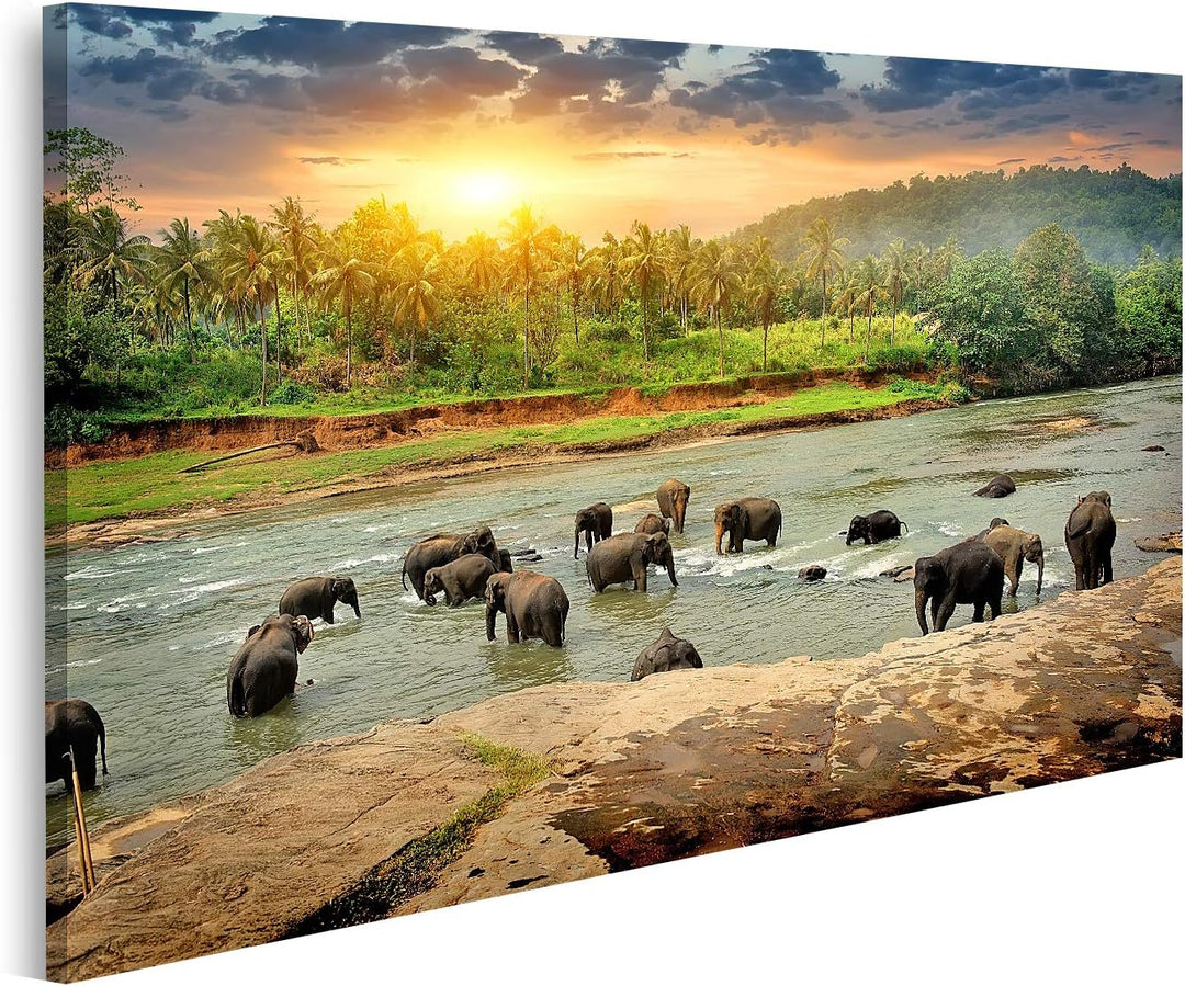 islandburner Bild auf Leinwand Badende Elefanten Herde Im Fluss Im Dschungel Sri Lanka Bilder Wandbi