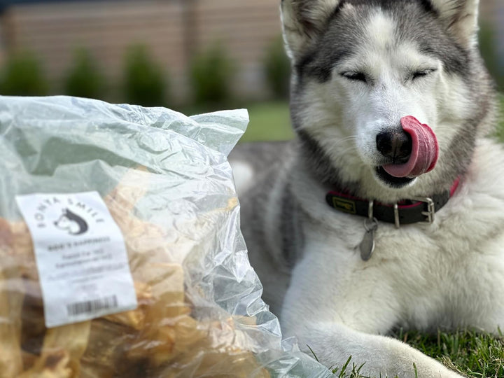 Hühnerfüsse 1kg| Zuper Hühnerkrallen Hähnchenfüsse Hühnerständer Kausnack Kauartikel Hunde Geschenk