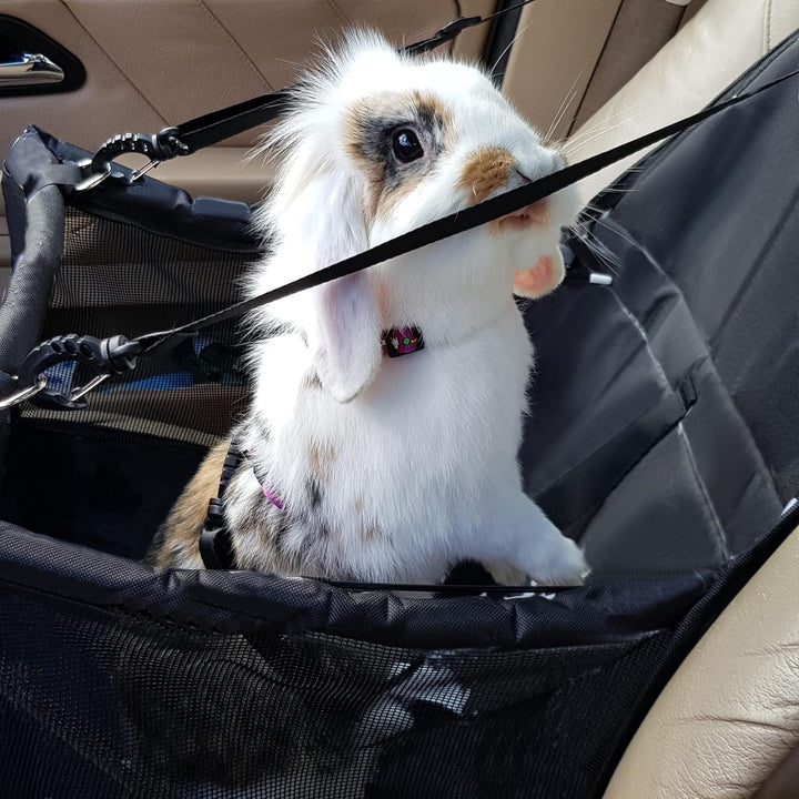 PURLOV Faltbarer Autositz für Hunde & Katzen – 40x40x32cm – Wasserdicht, mit Sicherheitsgurt & Netzf