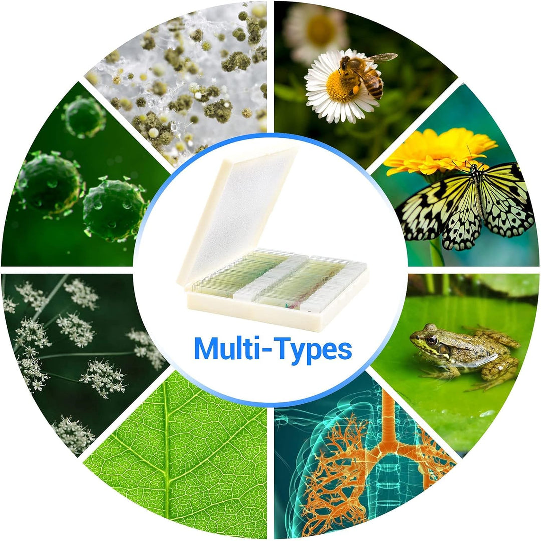 USCAMEL 100 Mikroskop Objektträger, 100 vorbereitete Mikroskop-Objektträger mit Exemplaren für Kinde