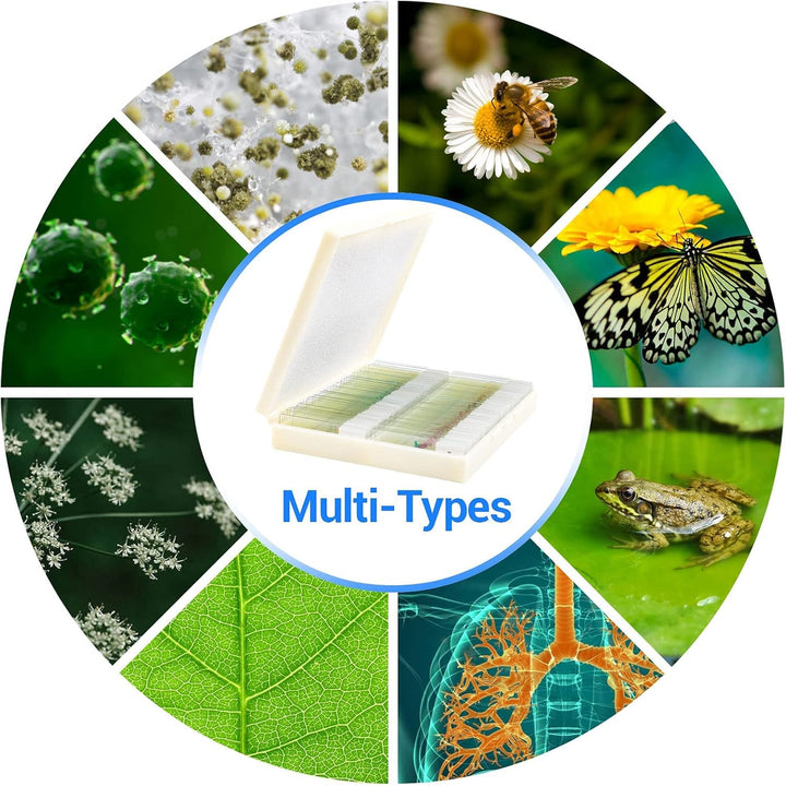 USCAMEL 100 Mikroskop Objektträger, 100 vorbereitete Mikroskop-Objektträger mit Exemplaren für Kinde