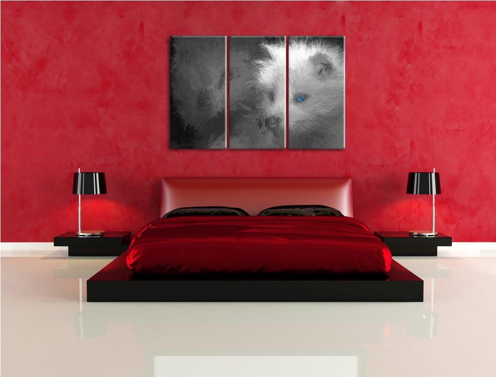 hübscher Polarfuchs in Höhle schwarz/weiss Deluxe 3-Teiler Leinwandbild 120x80 Bild auf Leinwand, XX