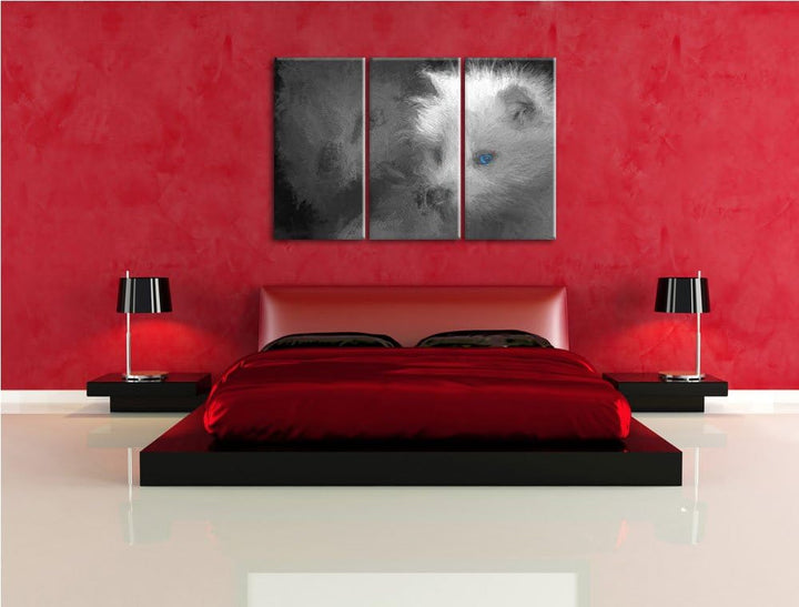 hübscher Polarfuchs in Höhle schwarz/weiss Deluxe 3-Teiler Leinwandbild 120x80 Bild auf Leinwand, XX