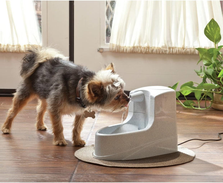 PetSafe Trinkbrunnen, Mini-Haustierbrunnen, Automatiksystem, für kleine Katzen und Hunde, Haustier-S