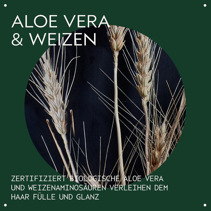 Aveda Volumizing Tonic Volumen-Spray 100 ml | Für feines &amp; dünnes Haar | Sorgt für mehr Fülle Sehr z