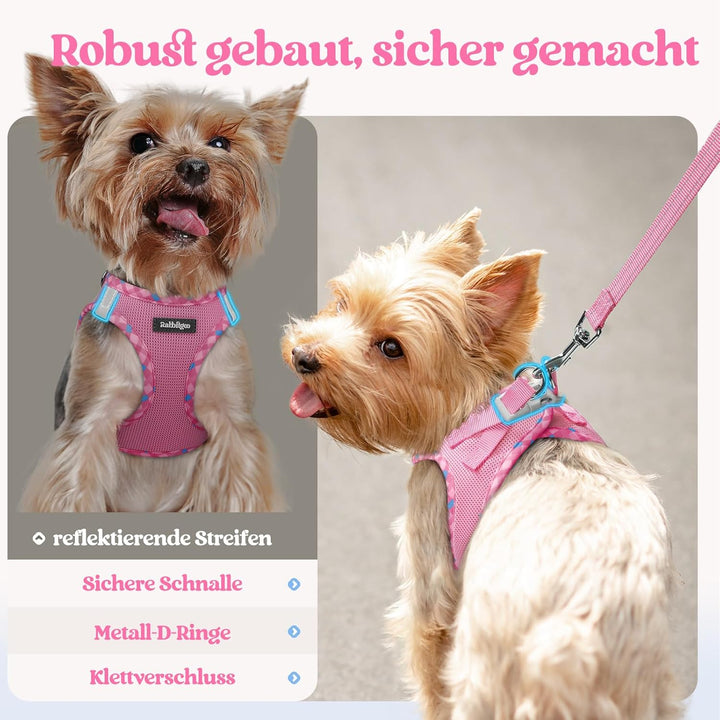 rabbitgoo Hundegeschirr Kleine Hunde mit Leine, Step-in Welpengeschirr Weich Mesh für Spaziergänge,