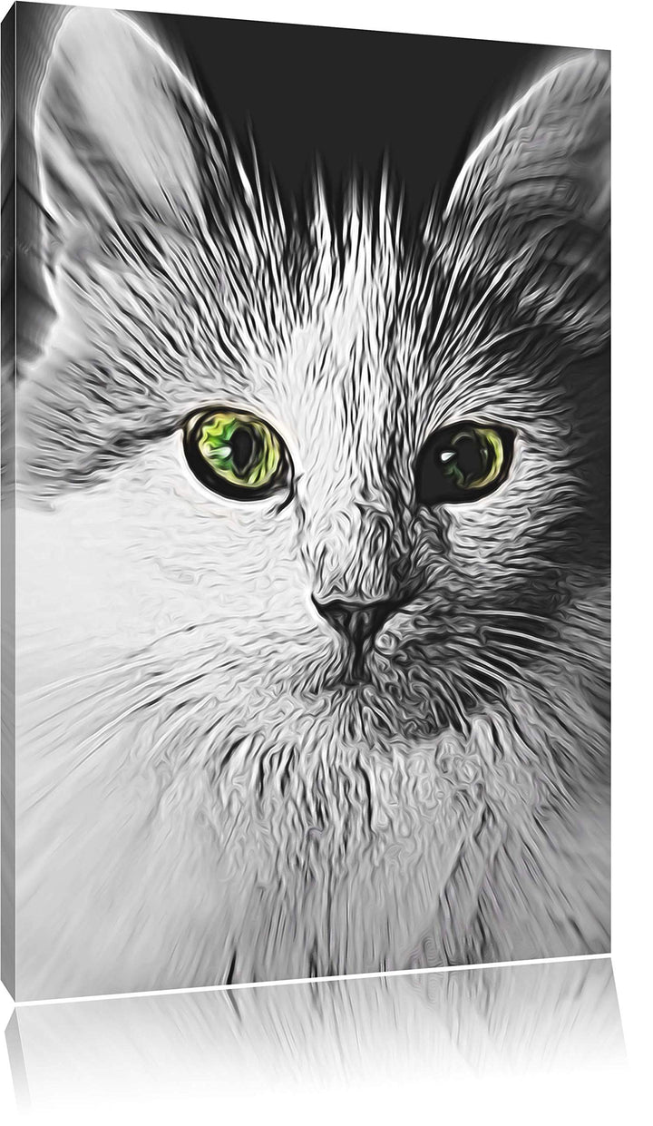 anmutige Katze schwarz/weiss Deluxe Format: 100x70 cm auf Leinwand, XXL riesige Bilder fertig gerahm