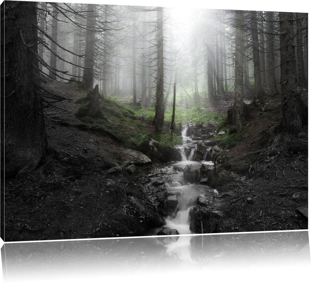 Bach im Wald B&W Detail, Format: 100x70 auf Leinwand, XXL riesige Bilder fertig gerahmt mit Keilrahm