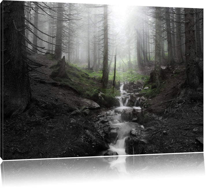 Bach im Wald B&W Detail, Format: 100x70 auf Leinwand, XXL riesige Bilder fertig gerahmt mit Keilrahm