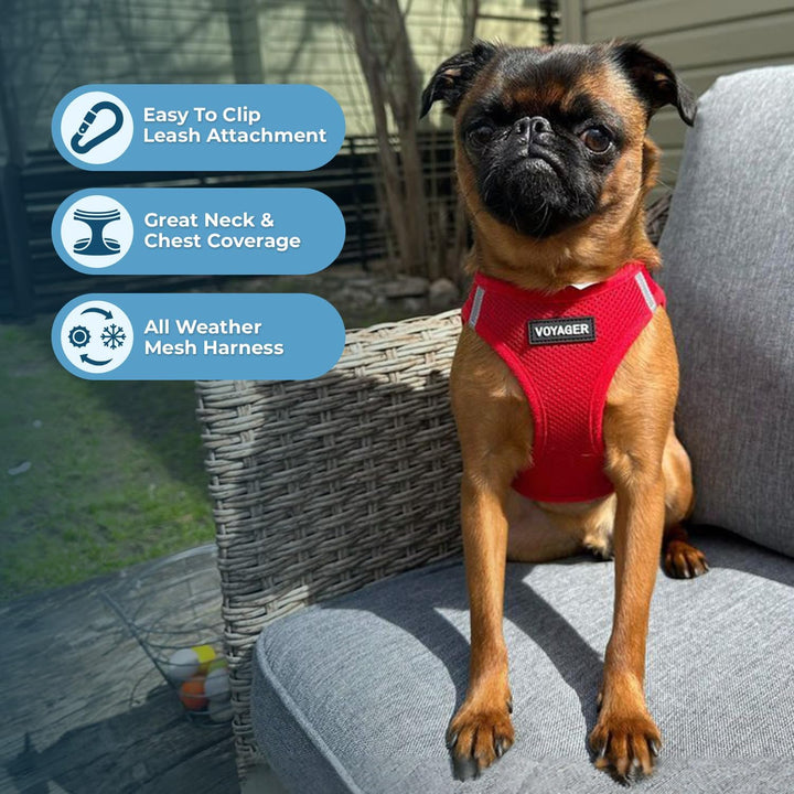 Best Pet Supplies Voyager Step-in Air, Allwetter-Mesh-Geschirr und reflektierendes Hundegeschirr, 1,