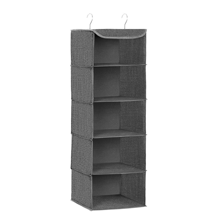 SONGMICS Hängeorganizer, Schrank-Organizer, Hängeregal, Hängeaufbewahrung, faltbar und platzsparend,