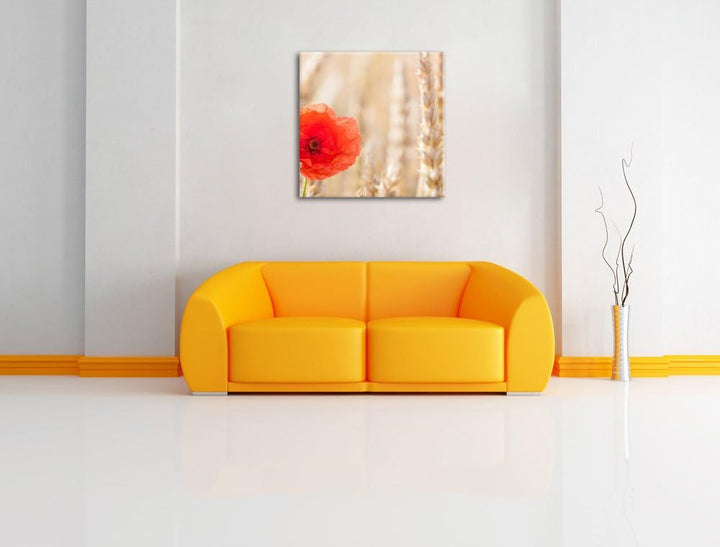 Mohnblume im Kornfeld, Format: 70x70 auf Leinwand, XXL riesige Bilder fertig gerahmt mit Keilrahmen,