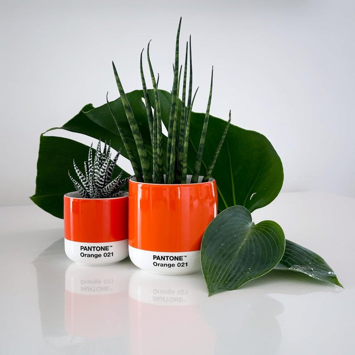 Pantone doppelwandiger Porzellan-Thermobecher Cortado, ohne Henkel, 190ml, Orange 021