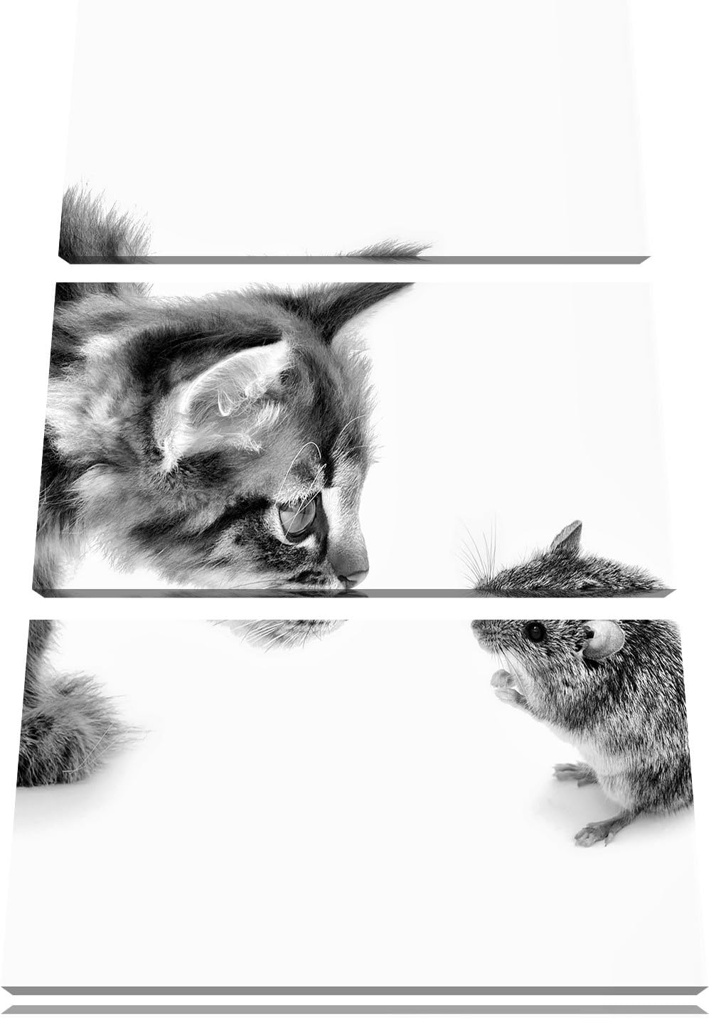 Pixxprint Katze und Maus Freunde als Leinwandbild/Grösse: 3 Teilig (120x80) cm/Wandbild/Kunstdruck/f