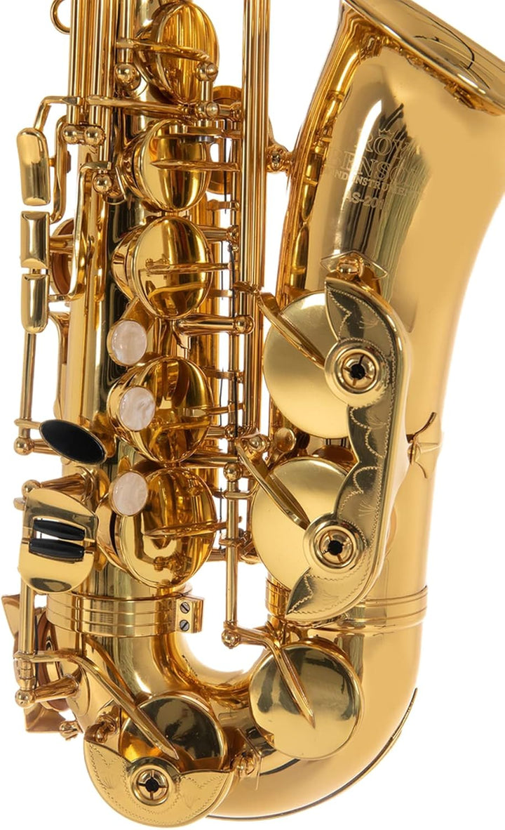 Roy Benson Kinder Eb-Alt Saxophon MOD.AS-201 lackiert, inkl. leichtem Rechtecketui, AS-201