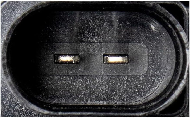 Blue Print ADT30303 Waschwasserpumpe für Scheibenreinigungsanlage, mit Dichtring , 1 Stück, Blau