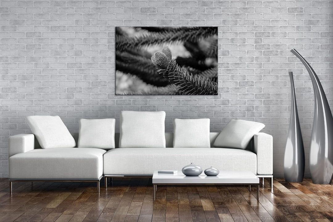 deyoli Frühlingserwachen der Tannenbäume Format: 80x60 als Leinwand, Effekt: Schwarz&Weiss, Motiv fe