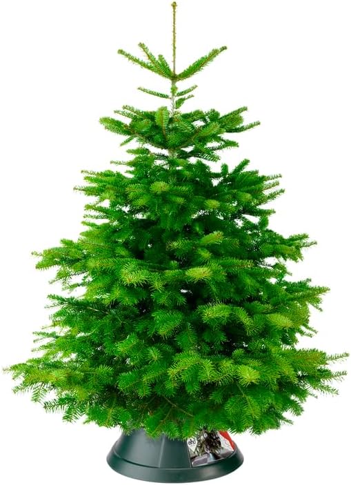 ELHO Weihnachtsbaumständer nordman, 39 cm, grün 39 CM Grün, 39 CM Grün