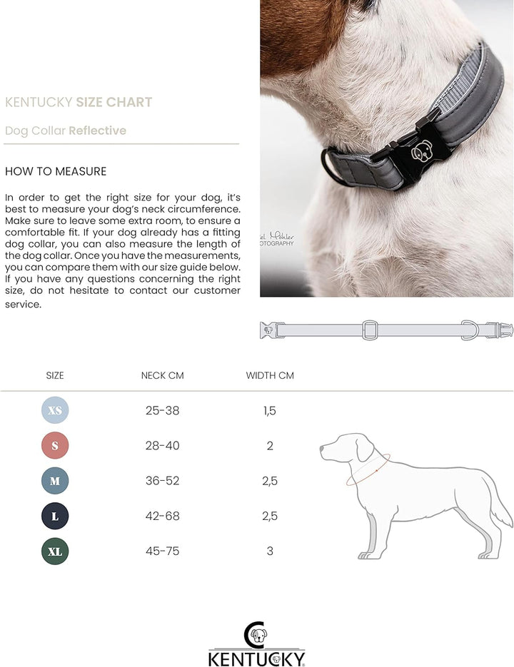 Kentucky Dogwear Hundehalsband reflektierend, Grösse:XS, Farbe:grau XS grau, XS grau