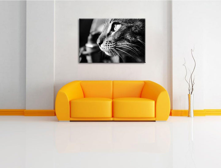Dark anmutige Katze im Seitenprofilauf Leinwand, XXL riesige Bilder fertig gerahmt mit Keilrahmen, K